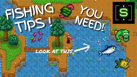 how to level up fishing fast stardew valley|Fishing Strategy .